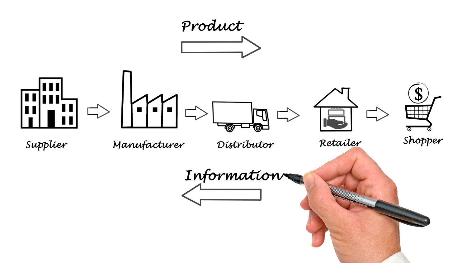 Modelos de Distribución Comercial: la clave para llegar con eficacia a ...