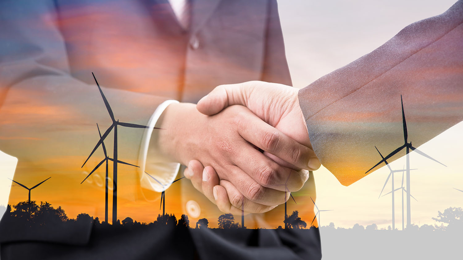 Cómo las empresas pueden beneficiarse de las energías renovables? | Conexión ESAN