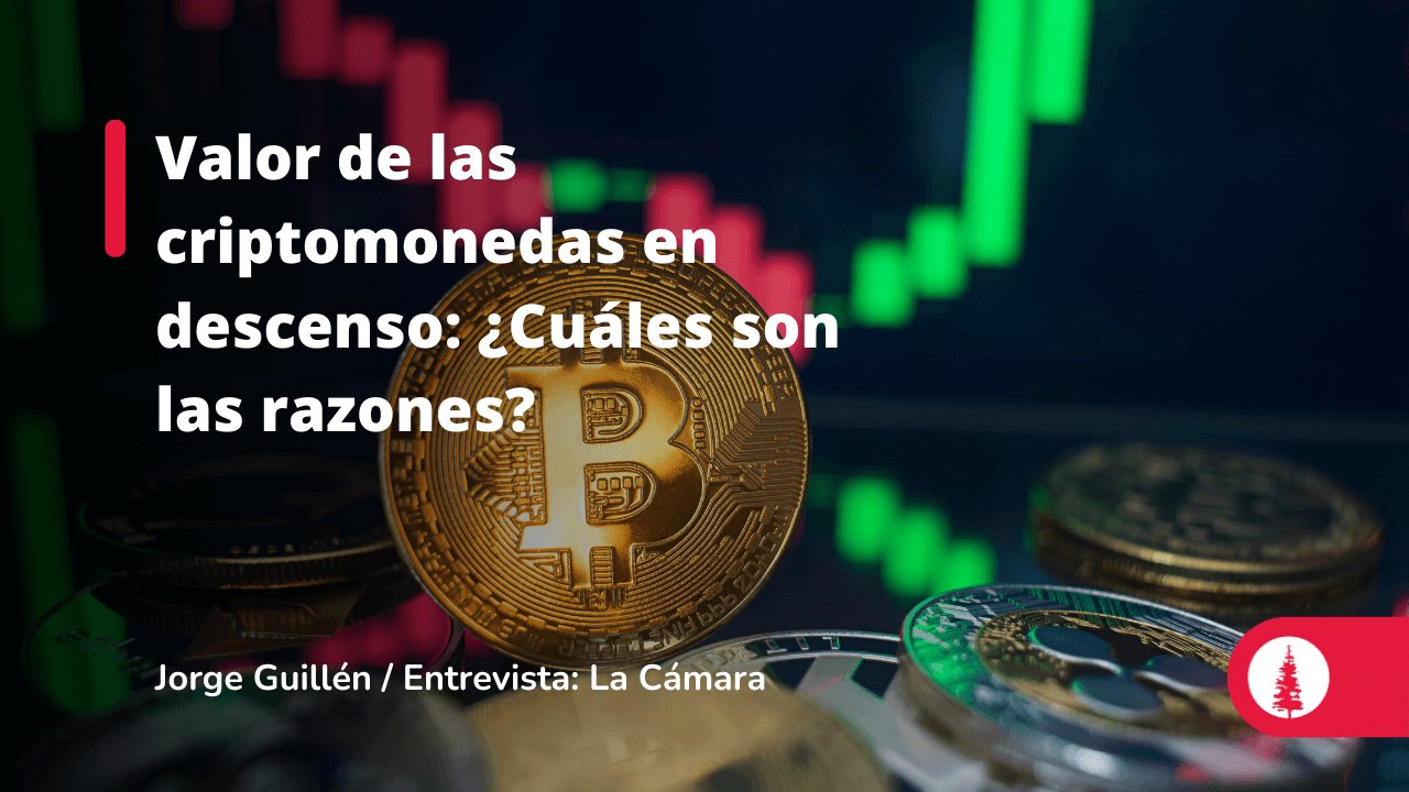 Valor de las criptomonedas en descenso: ¿Cuáles son las razones? | Conexión  ESAN