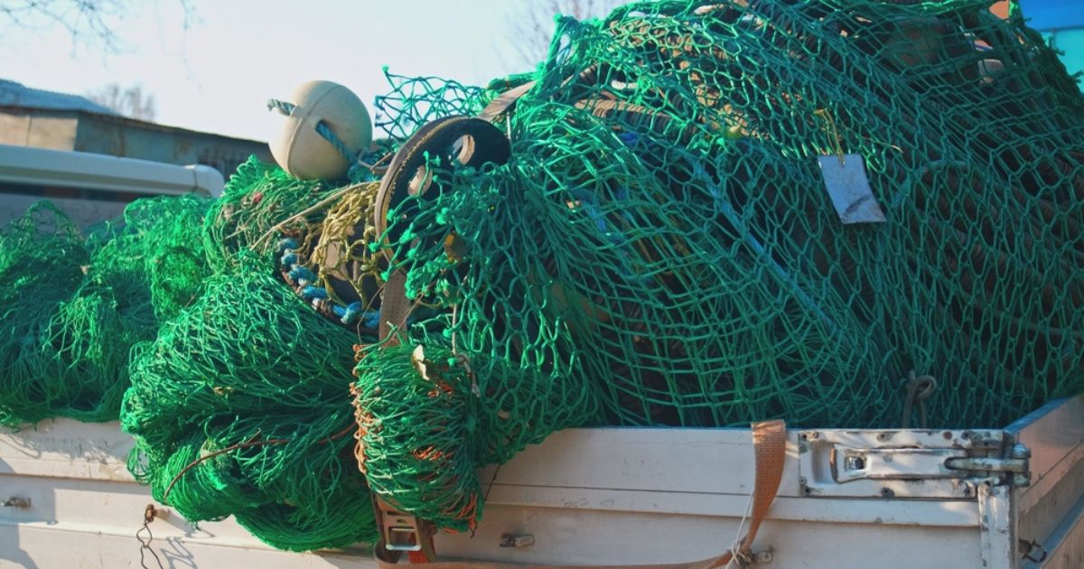 Pesca ilegal: ¿Qué implica la Ley Contra el Crimen Organizado?