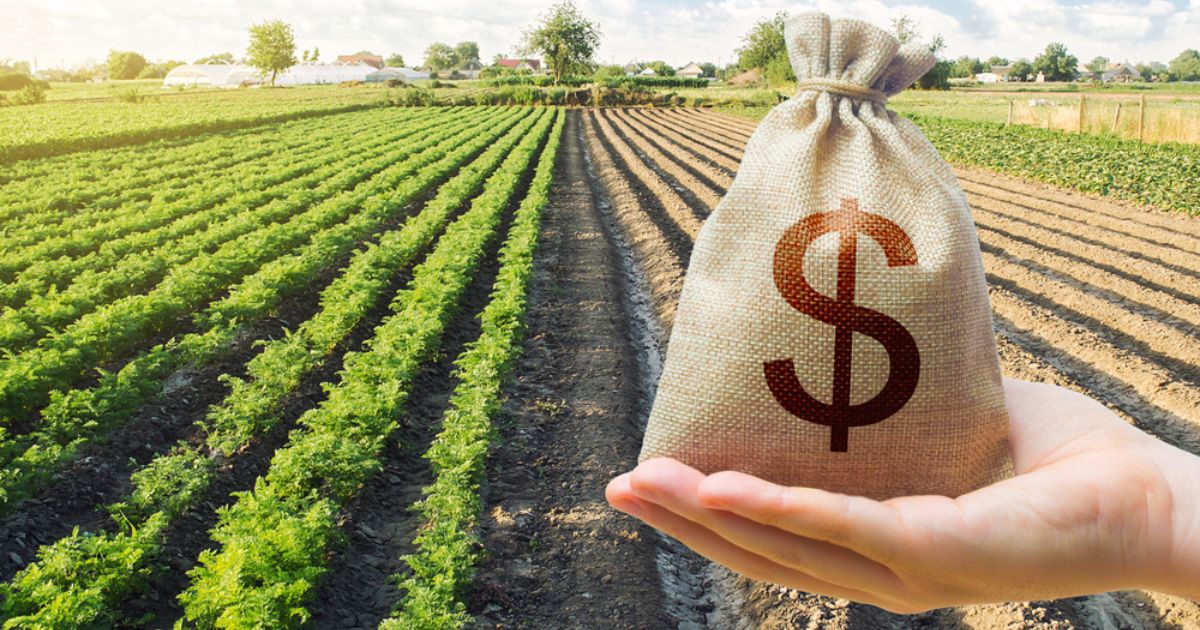 Pautas para el manejo del Ebitda en las empresas del sector agrícola