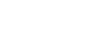 logo centro next level