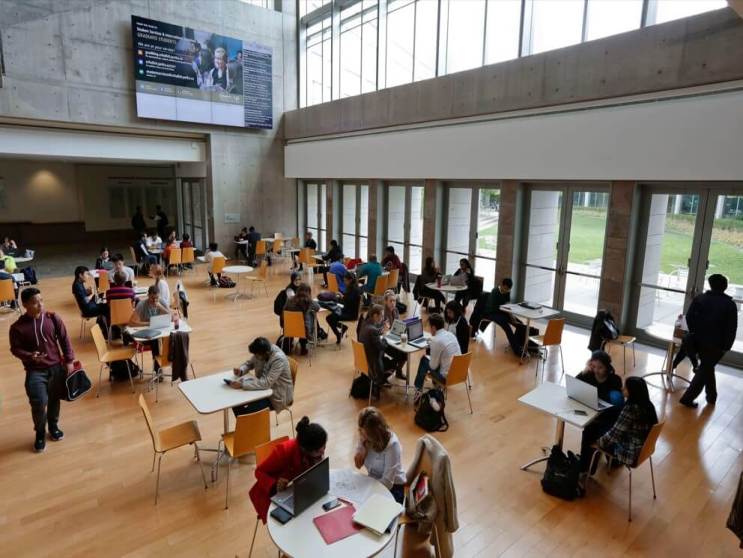 schulich toronto sebastian doble grado dos