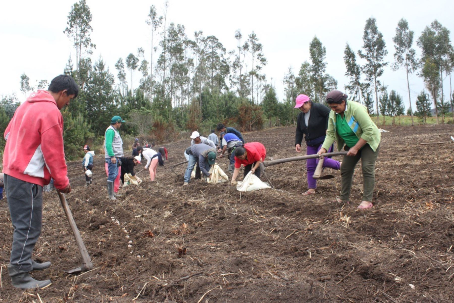 portada produccion de alimentos y falta de fertilizantes 13 04 22