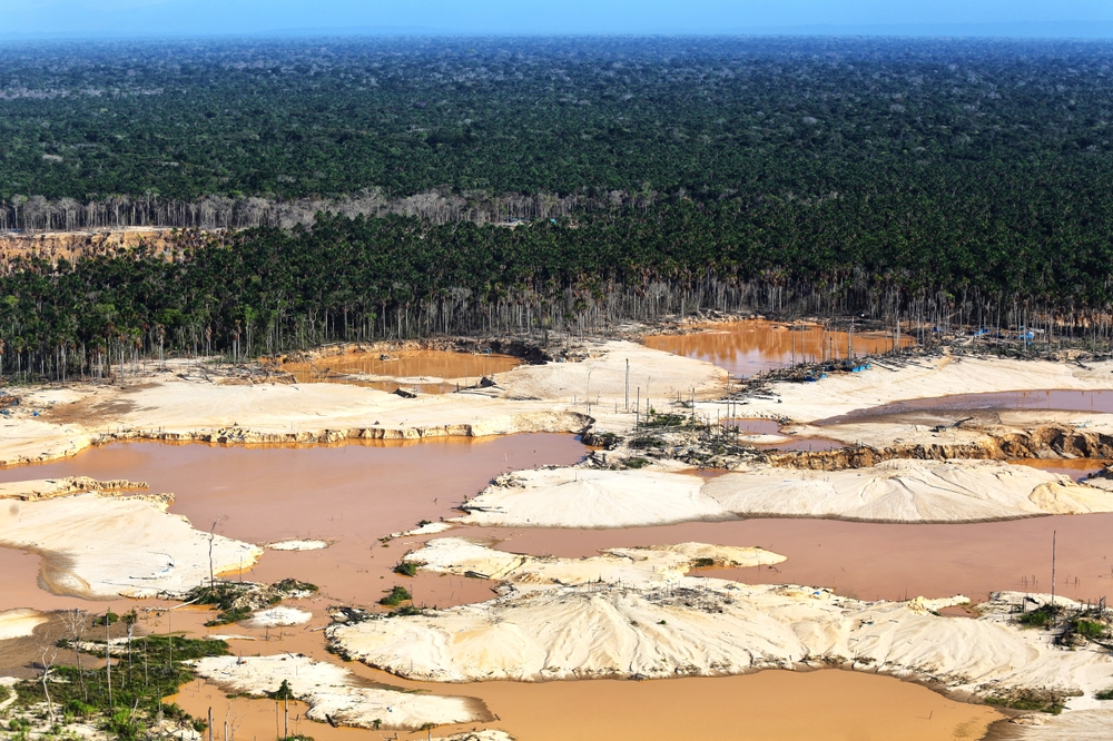 shutterstock 2284682319 1