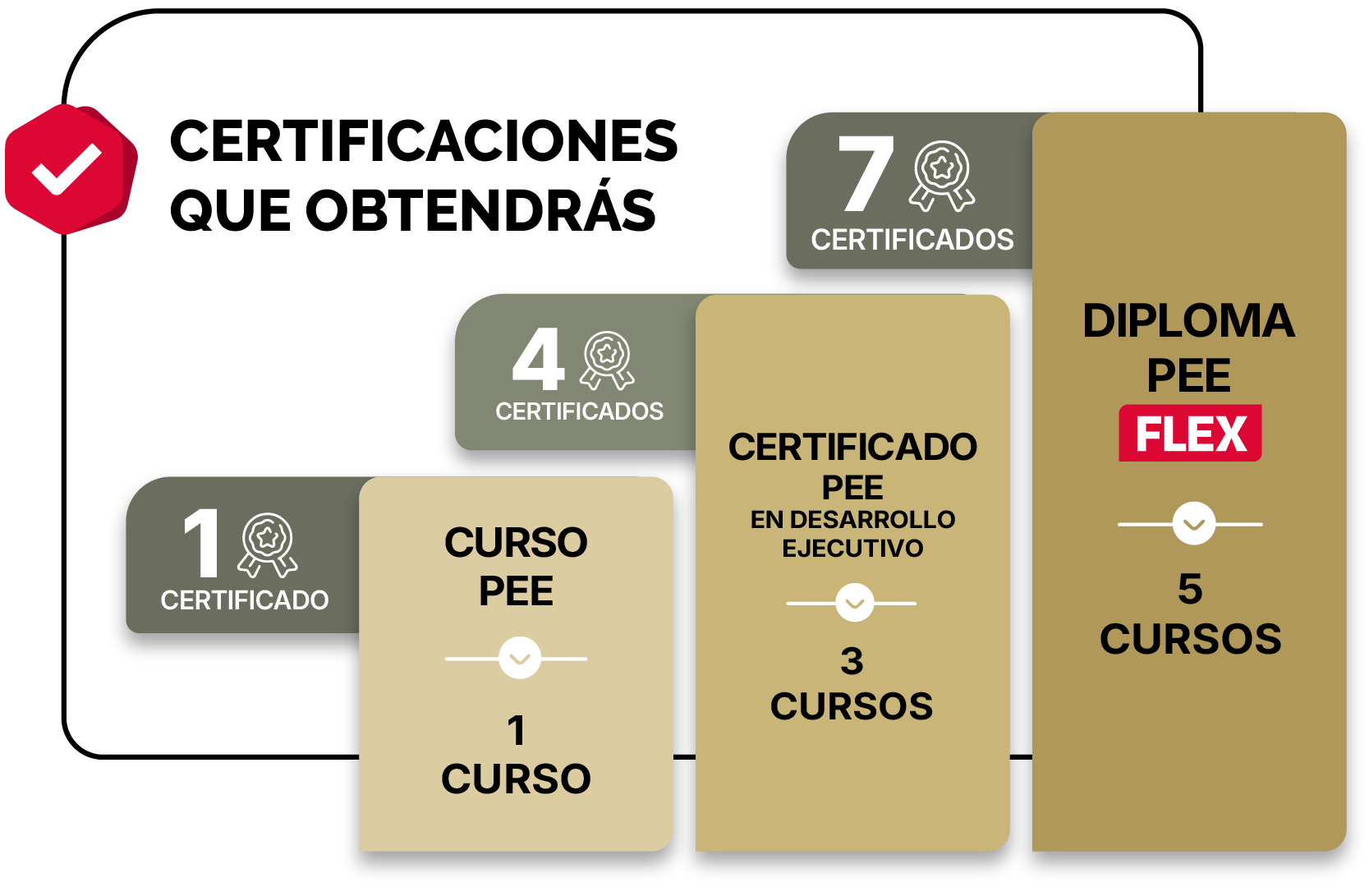 Certificaciones que obtendrás: 1 Certificado - 1 Curso s/ 1,780 , 4 Certificados - 3 Cursos s/ 5,100 , 7 Certificados - 1 Diploma de Especialización PEE - 5 Cursos s/ 8,000