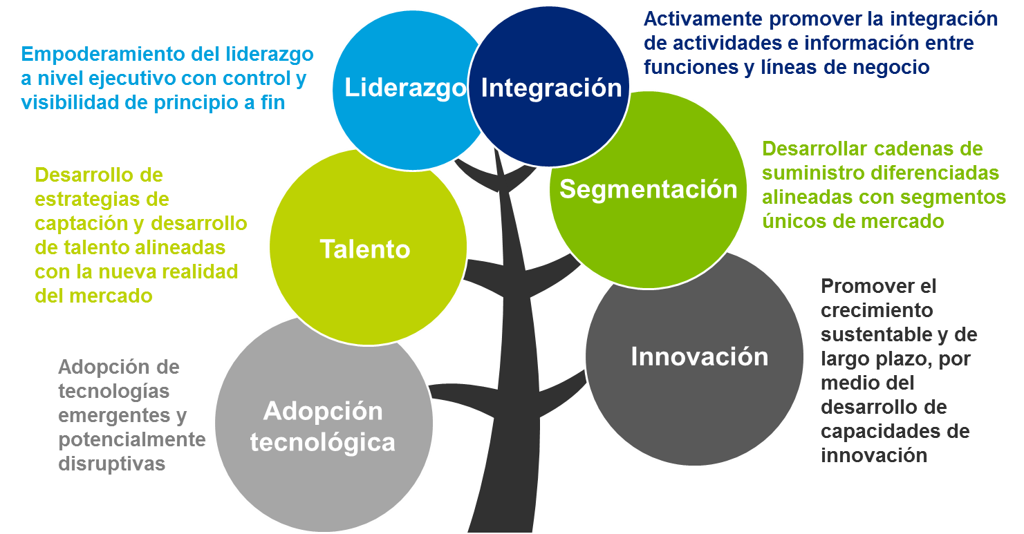 Figura 2: áreas de desarrollo para el éxito en la cadena de suministros (Elaboración propia) Foto2.png