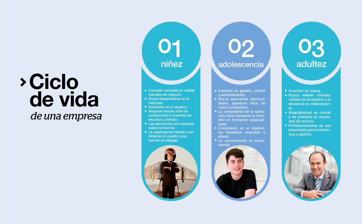 ciclodevidadeunaempresa_2.png