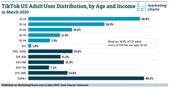 imagen tik tok 2.JPG