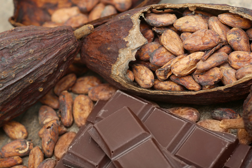 cacao_chocolate.jpg